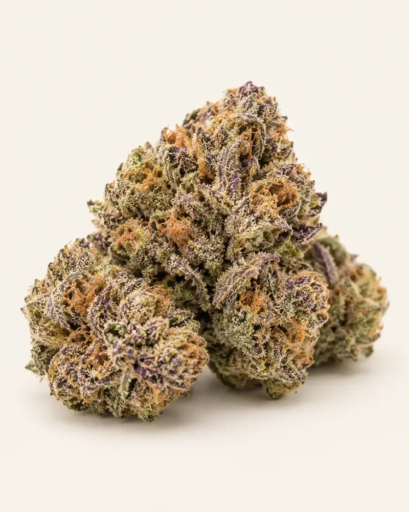 Acapulco Gold flower (review image)